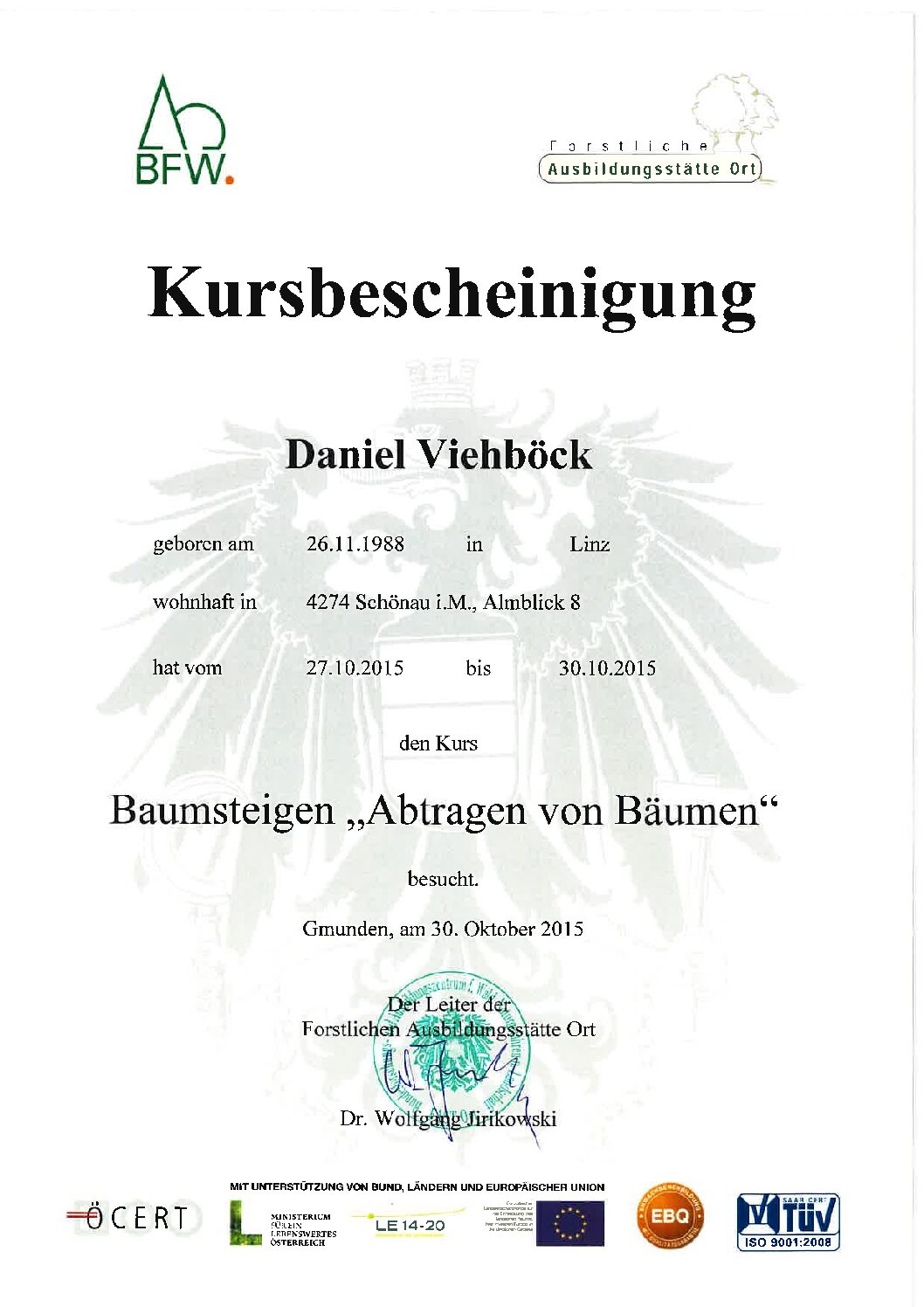Abtragen von Bäumen